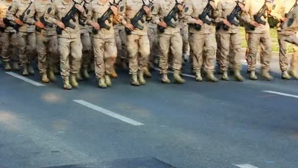 Soldaten marschieren auf — Stockvideo