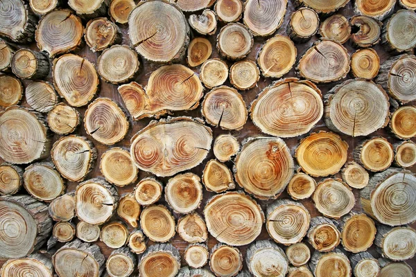 Background from wood — Stock Photo, Image