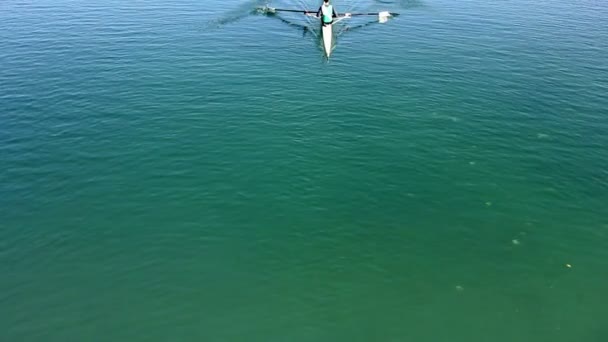 Rowing in the lake — Stock Video