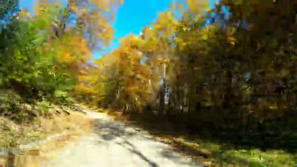 4k _ car conduciendo a través del bosque de otoño — Vídeo de stock