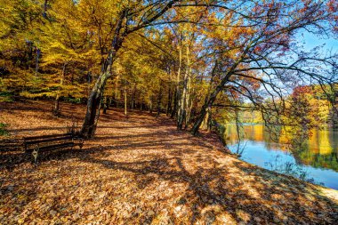 Orman Gölü sonbahar, Hdr görüntü boyunca