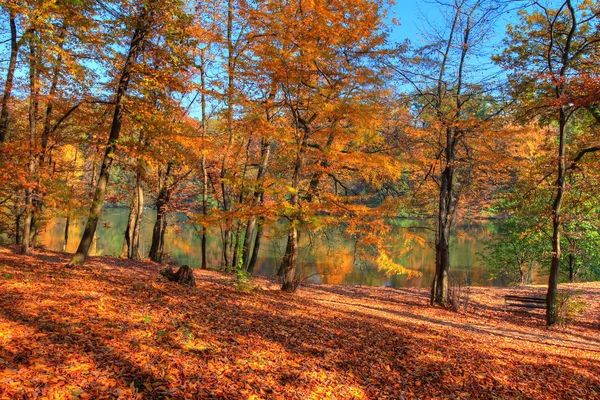 Floresta ao longo do lago no outono, imagem HDR — Fotografia de Stock