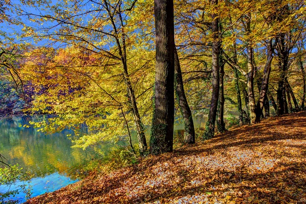 Bosque a lo largo del lago en el otoño, imagen HDR — Foto de Stock