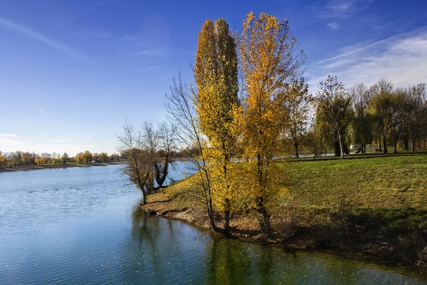 Bomen langs Lake in het najaar — Stockfoto