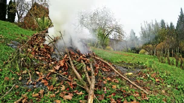 Bruciatura dei rifiuti del giardino — Video Stock