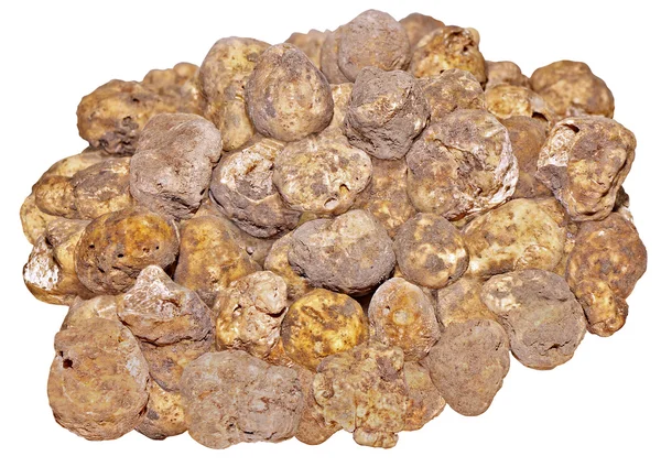 Group of White truffles — Stock Photo, Image