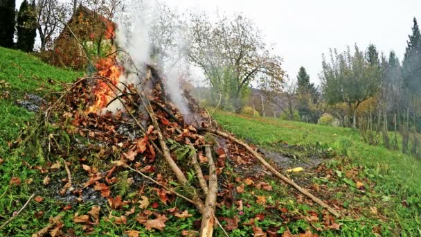 Brûlage des déchets de jardin — Video