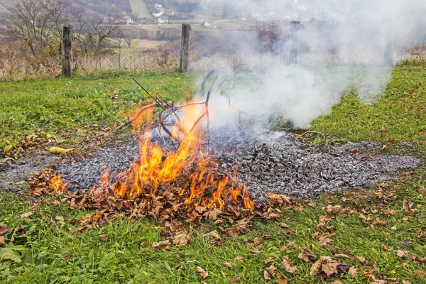 Brûlage des déchets de jardin — Photo