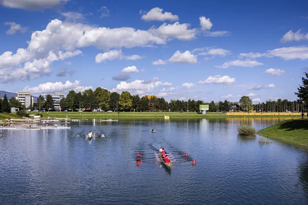Training rowing on the lake Jarun — Stock Photo, Image