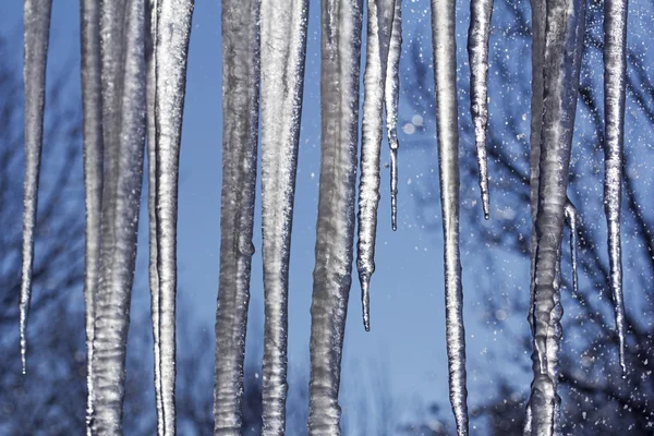 Icicles Танення і краплі — стокове фото