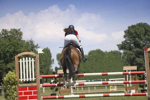Молода дівчина стрибає на коні — стокове фото
