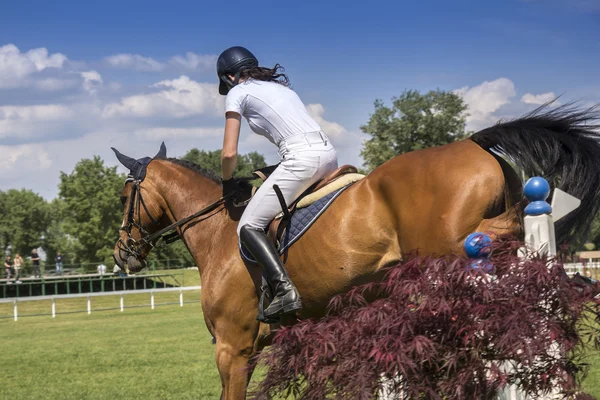 Молода дівчина стрибає на коні — стокове фото
