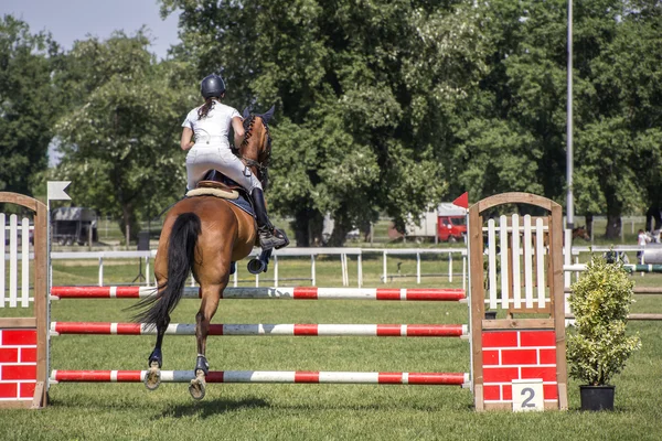 Young girl jumping on horseback — Stock Photo, Image