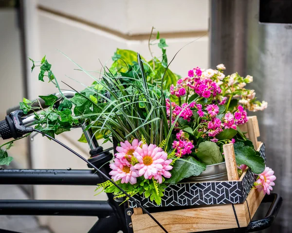 Street photo of flowers basket on a bicycle, street photography of freshly looking flowers