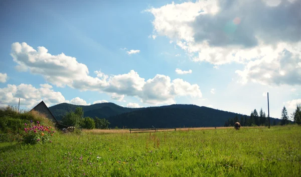 Vor dem Hintergrund von Bergen und wolkenverhangenem Himmel grast die Kuh auf dem Feld und sieht ein kleines Haus — Stockfoto
