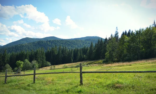 Schöne Aussicht auf die Berge mit Wald und das Feld mit Zaun — Stockfoto