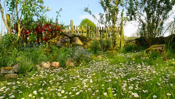 Jardin idylle avec des fleurs en fleurs — Photo