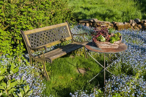 Садовая идиллия со скамейкой — стоковое фото