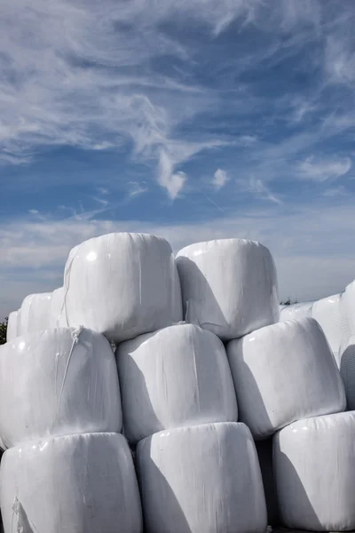 Hay bales wrapped Royalty Free Stock Photos