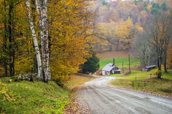 Кленовый сахарный домик, Рединг, Вермонт, США — стоковое фото