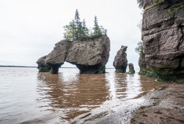 Bay of Fundy, New Brunswick, Canada. clipart