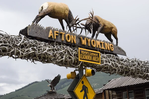 Afton, Wyoming, Usa, Elkhorn oblouk — Stock fotografie