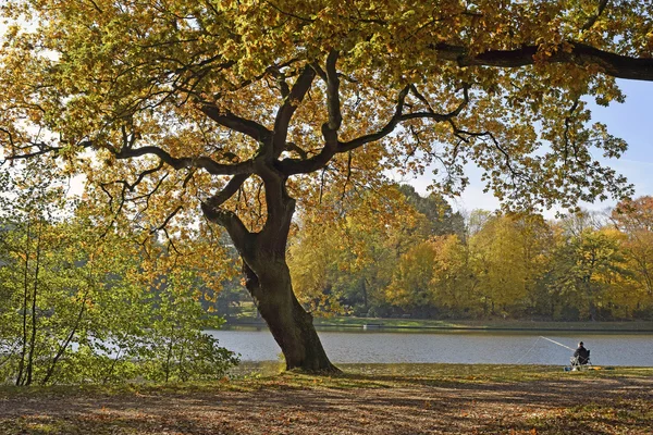 Fall foliage, lake, fishing man — Stock Photo, Image