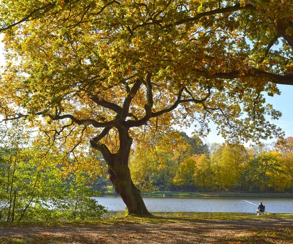 Fall foliage, lake, fishing man, panorama image — Stock Photo, Image