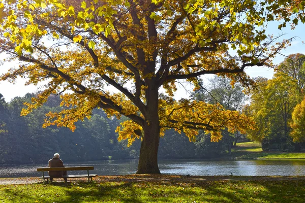 Fall foliage, lake, man on bench — Stock Photo, Image