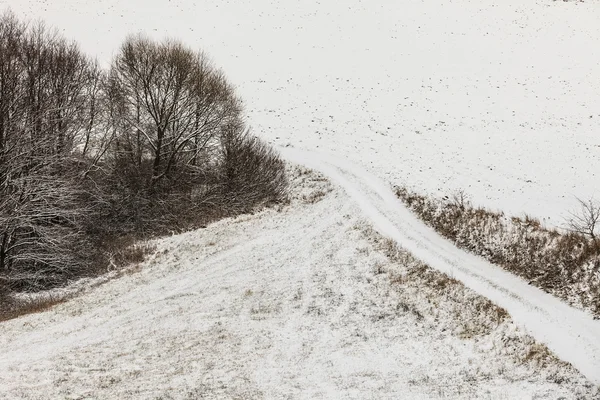 Árboles en el campo cubiertos de nieve. Paisajes de invierno — Foto de Stock