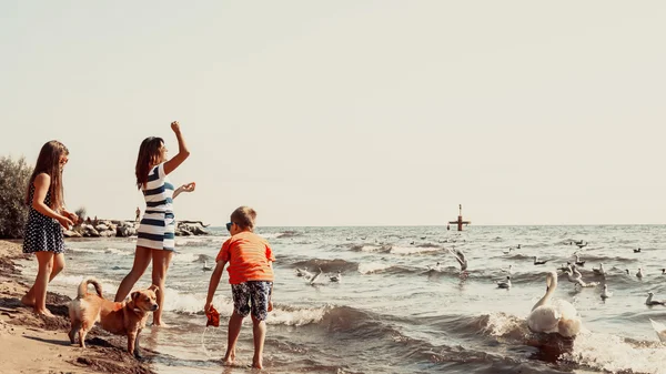 Los niños y la madre en la playa se divierten con cisne . — Foto de Stock