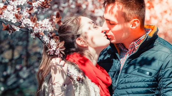 Pareja enamorada caminando en parque en soleado día de primavera —  Fotos de Stock