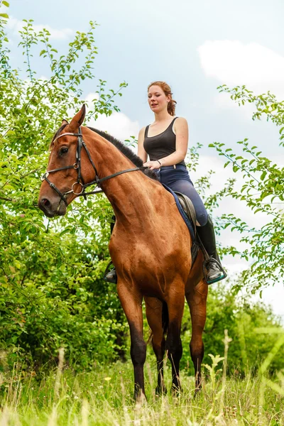 Mujer jinete entrenando a caballo. Actividad deportiva —  Fotos de Stock