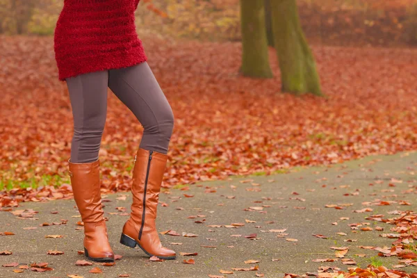 De benen van de vrouw in bruine laarzen. Vallen mode — Stockfoto