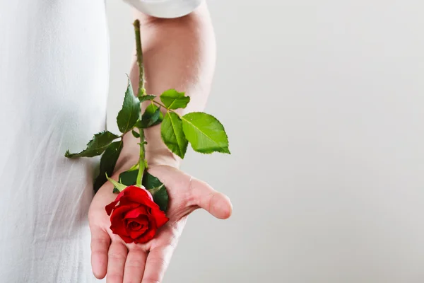 Muž s jednou červená růže — Stock fotografie
