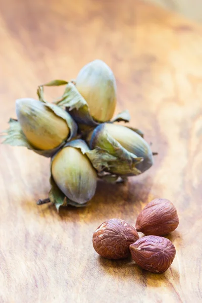 Hasselnötter kluster filbert nötter i det hårda skalet. — Stockfoto