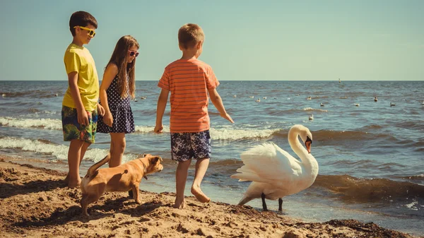 Niña niños niños en la playa divertirse con cisne . — Foto de Stock