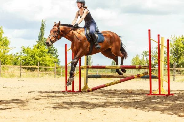 Mulher jóquei a treinar cavalo. Actividade desportiva — Fotografia de Stock