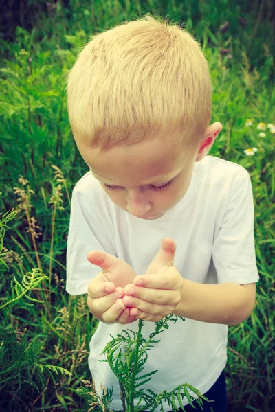 Ragazzino che raccoglie fiori nel prato. Ambiente . — Foto Stock