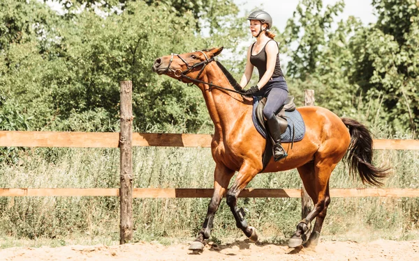 Žena žokej školení jezdecké koně. Sportovní činnost — Stock fotografie