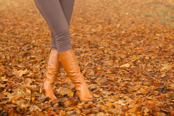 Primer plano de las piernas de mujer en botas marrones. Moda de otoño —  Fotos de Stock