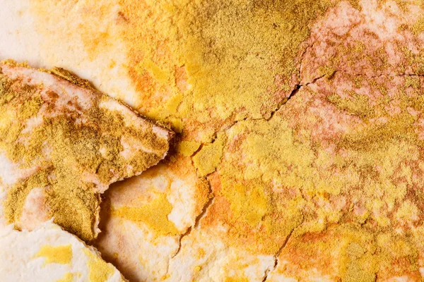 Mouldy growth on flat bread. — Stock Photo, Image