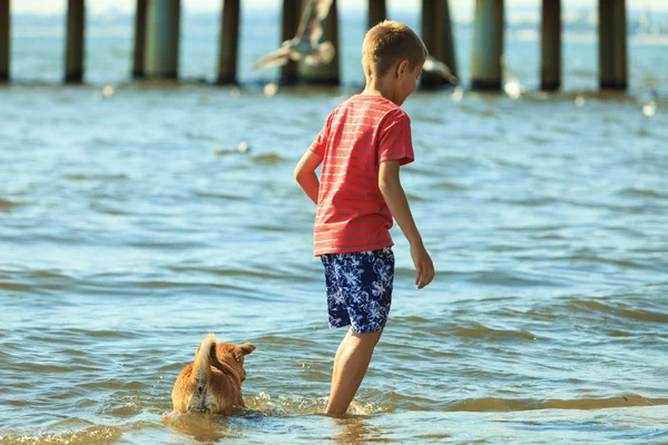 Garçon jouer avec son chien. — Photo