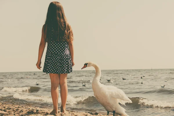 Flicka som leker med vuxna swan. — Stockfoto