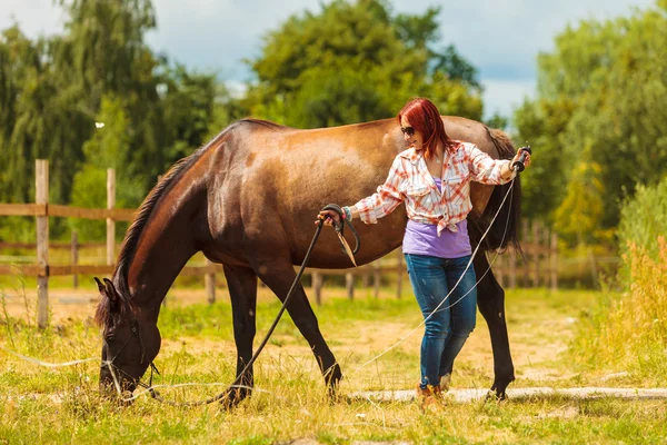 Chica joven cuidando de caballo . — Foto de Stock