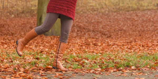 Fille dans le parc d'automne — Photo