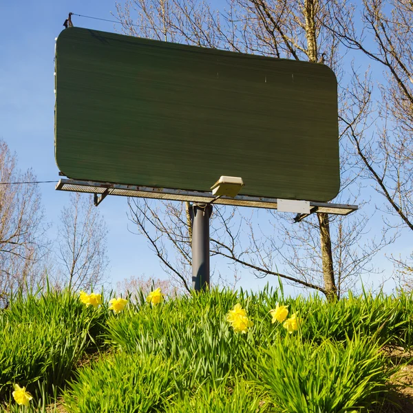 Leere Werbetafel und gelbe Narzissenblumen. — Stockfoto