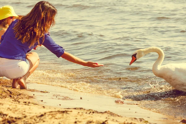 Niños jugando con cisne pájaro blanco . — Foto de Stock