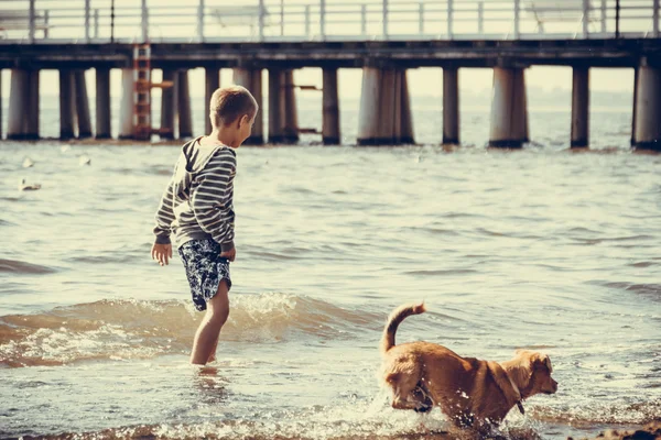 Niño en el agua de mar con perro. Verano . — Foto de Stock
