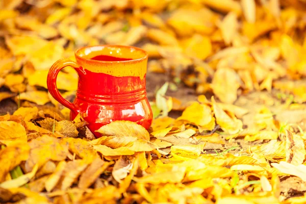 Czerwony kubek z liści jesienią — Zdjęcie stockowe